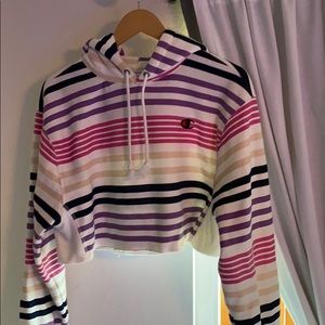 champion cropped and striped hoodie